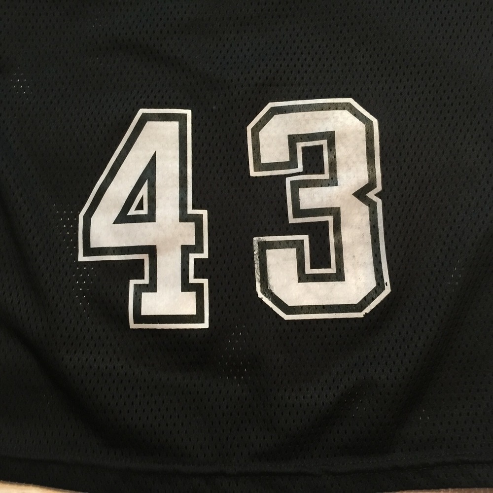 Pittsburgh Steelers Troy Polamalu NFL Mesh Jersey Franklin Youth Boys Size‎ M - Picture 6 of 6